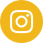 insta-icon