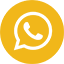 zap-icon
